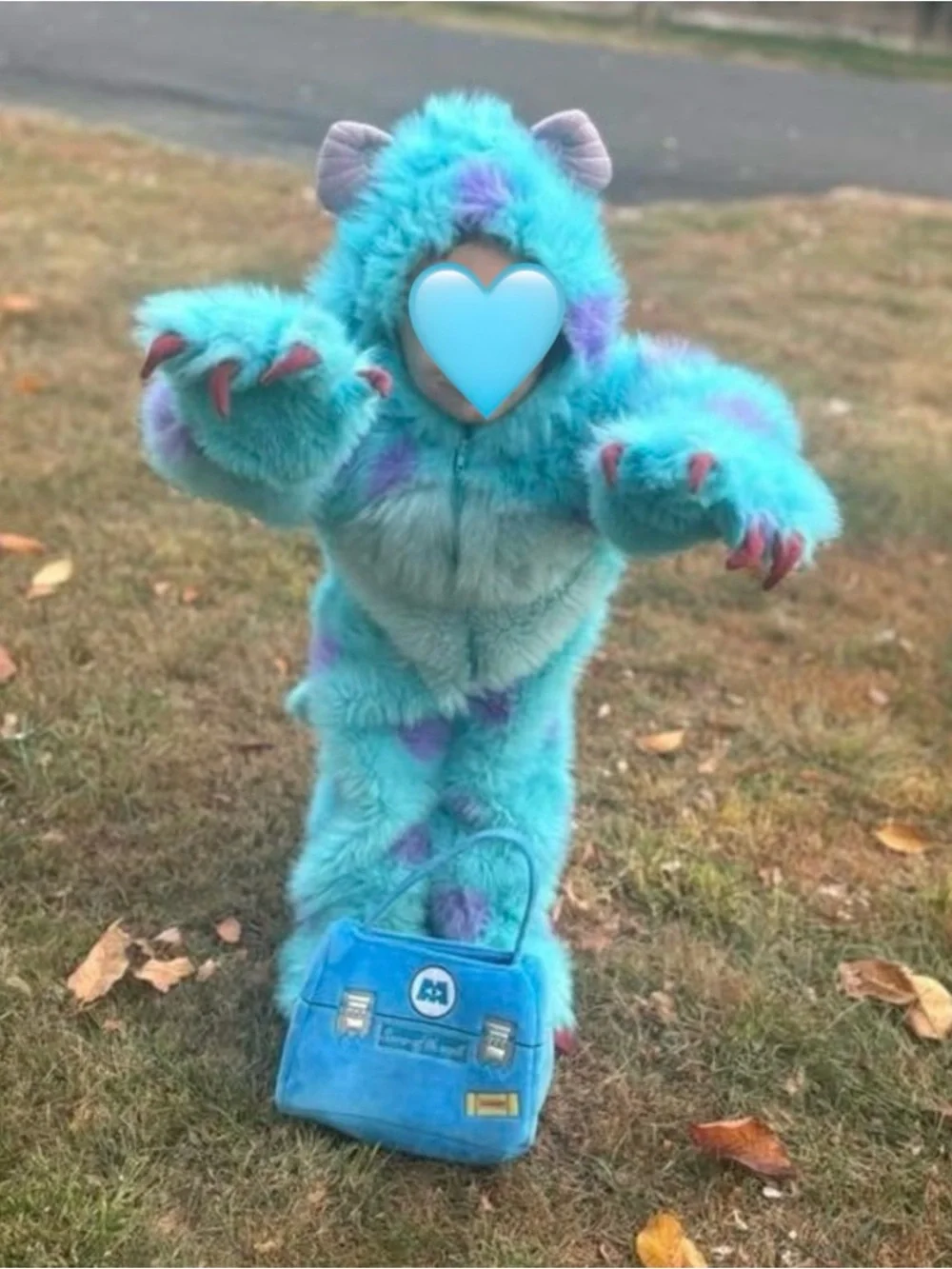 Disney Monsters Inc Sulley Sully Costume Size 2-4 Toddler Halloween